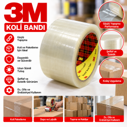 3M KOLİ BANDI